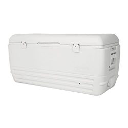 Igloo Quick and Cool Cooler (150-Quart, White)