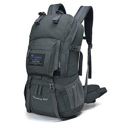 Mountaintop 40 Liter Hiking Backpack for Outdoor Camping (Gray2)
