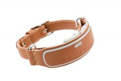 Link AKC Smart Dog Collar – GPS Location Tracker, Activity Monitor, and More, Leather Larg ...