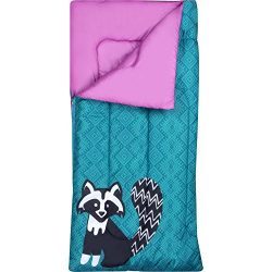 Ozark-Trail Kids Sleeping Bag Camping Indoor Outoor Traveling (Raccoon / Bear) (Purple,Teal)