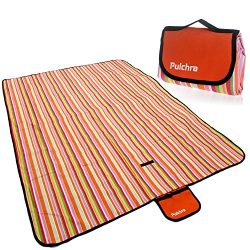 Pulchra Picnic Blanket Waterproof Premium Quality (600D Oxford Fabric) Large (80″×60″ ...