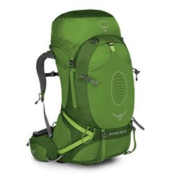 Osprey Men’s Atmos AG 65 Backpack (2017 Model), Absinthe Green, Small