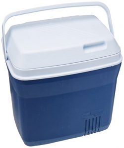 Rubbermaid Cooler / Ice Chest, 20-quart, Blue