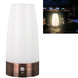 Brighome Wireless Motion Sensor LED Night Light 3 Modes Battery Powered LED Table Lamp,Sensitive ...