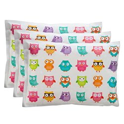 Ice Pack for Lunch Boxes (3 Pack) by Bentology (6″x4.5″) – Owl Design