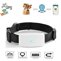 Hangang Gps Pet Tracker Anti-lost GPS Locating Pet Tracker, Activity Monitor Tracking in Real Ti ...