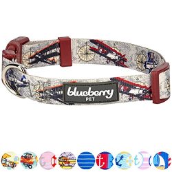 Blueberry Pet 9 Patterns Aviation Dream High Airplane & Compass Designer Dog Collar in Light ...