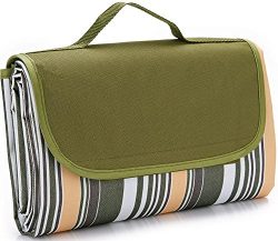 NaturalRays 80×60 Family Picnic Blanket with Tote, Extra Large Foldable and Waterproof Camp ...