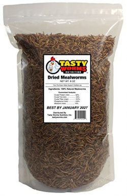 1/2 Lb (8 Oz) Tasty Worms Freeze Dried Mealworms Approx. 8,000ct