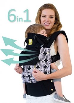 SIX-Position, 360° Ergonomic Baby & Child Carrier by LILLEbaby – The COMPLETE All Seasons (B ...