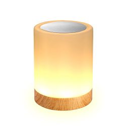 Digiroot Table Lamp Compact Lantern, Touch Bedside Lamp for Bedroom Living Room Kitchen Outside  ...