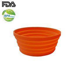Ecoart Silicone Expandable Collapsible Bowl for Travel Camping Hiking, Orange (1 Pack)