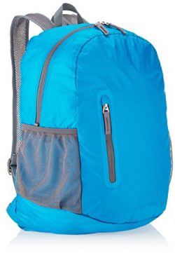 AmazonBasics Ultralight Packable Day Pack – Light Blue, 25L