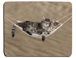 Cute tabby kittens sleeping in a hammock Mouse Pad, Mousepad (Cats Mouse Pad)