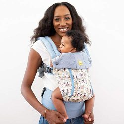 SIX-Position, 360° Ergonomic Baby & Child Carrier Disney Baby Collection by LILLEbaby – The  ...